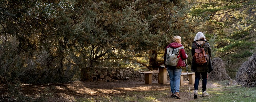 elderly-ladies-taking-a-walk-on-a-hikers-trail